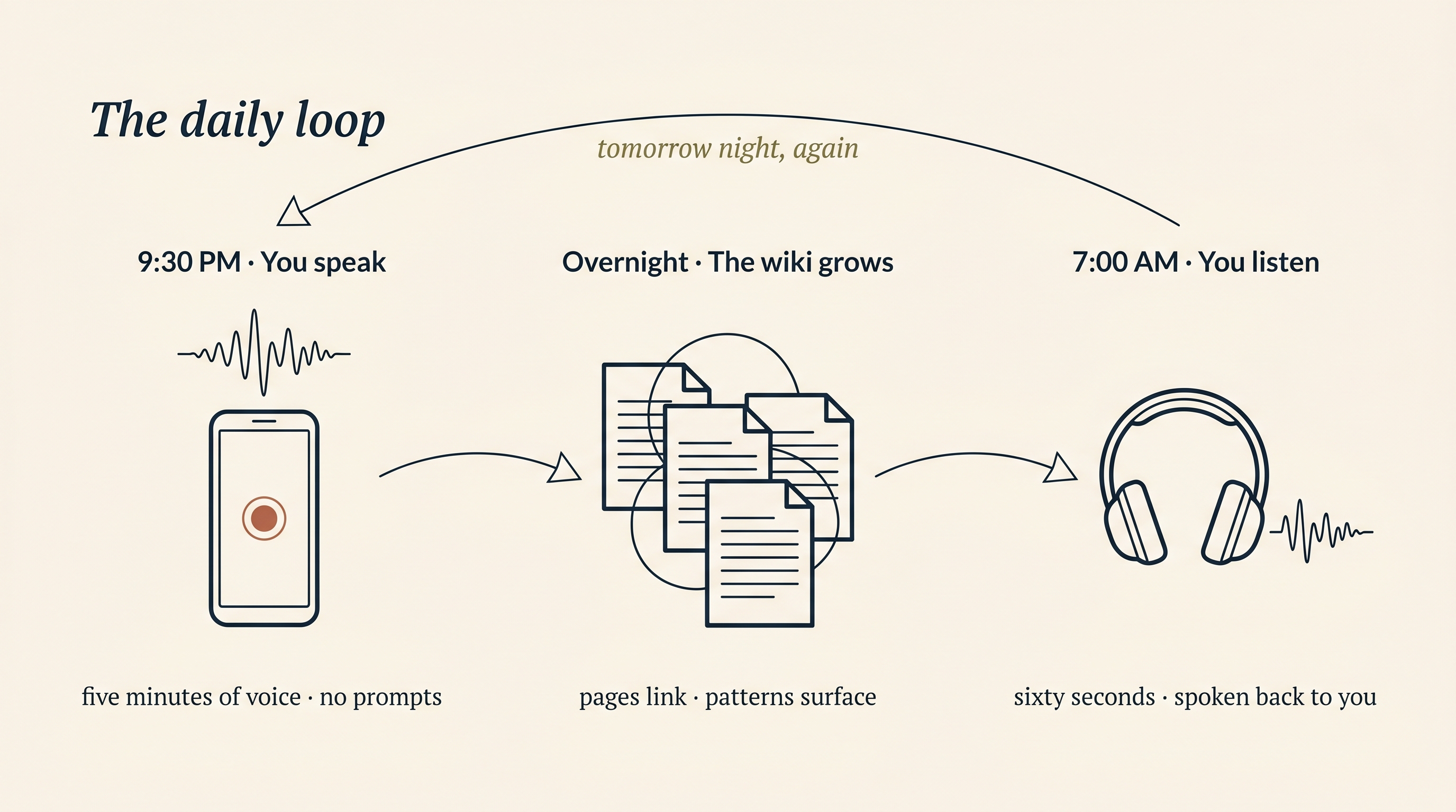 The daily loop diagram